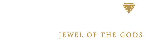 logo-chintamani-dwarka-expressway